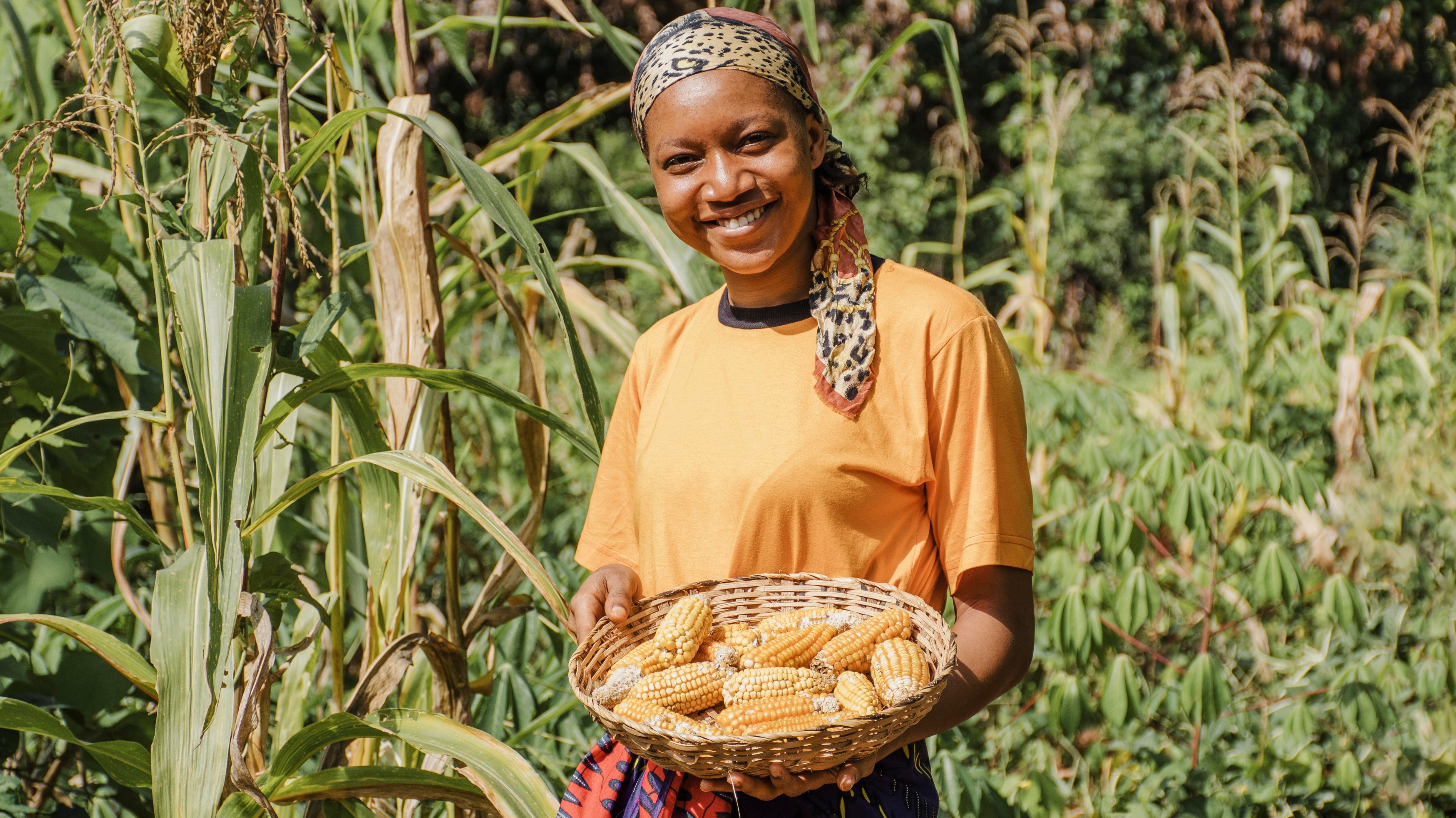 Farmer holding corn
